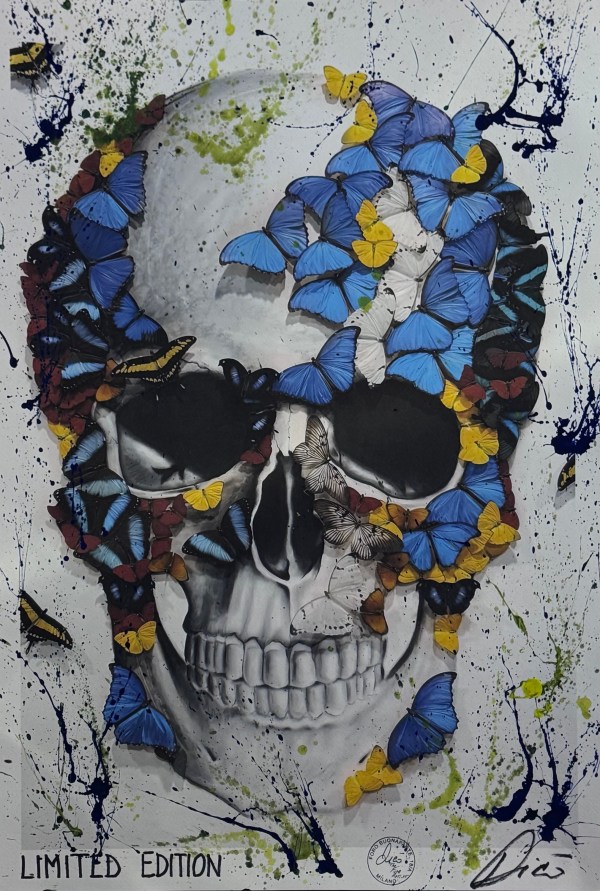Skull & butterflies